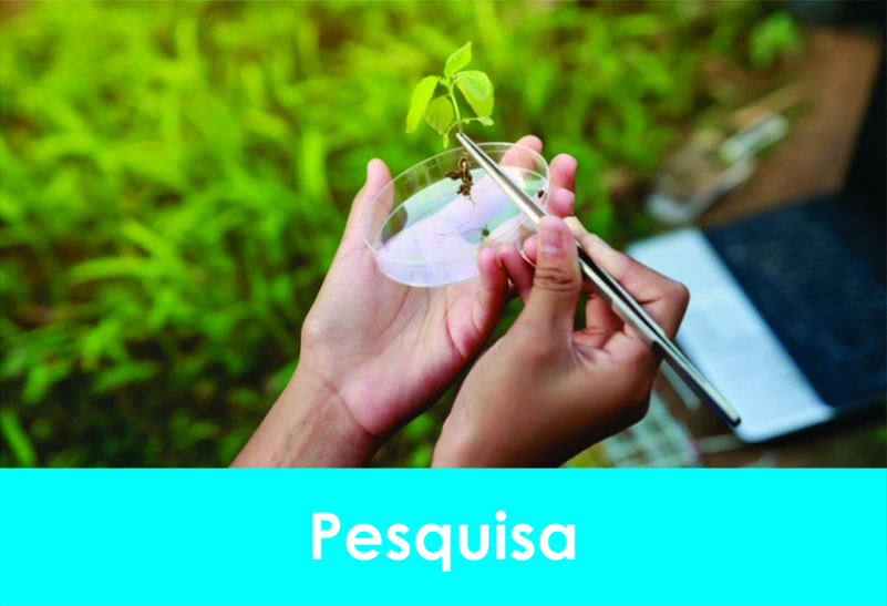 pesquisa